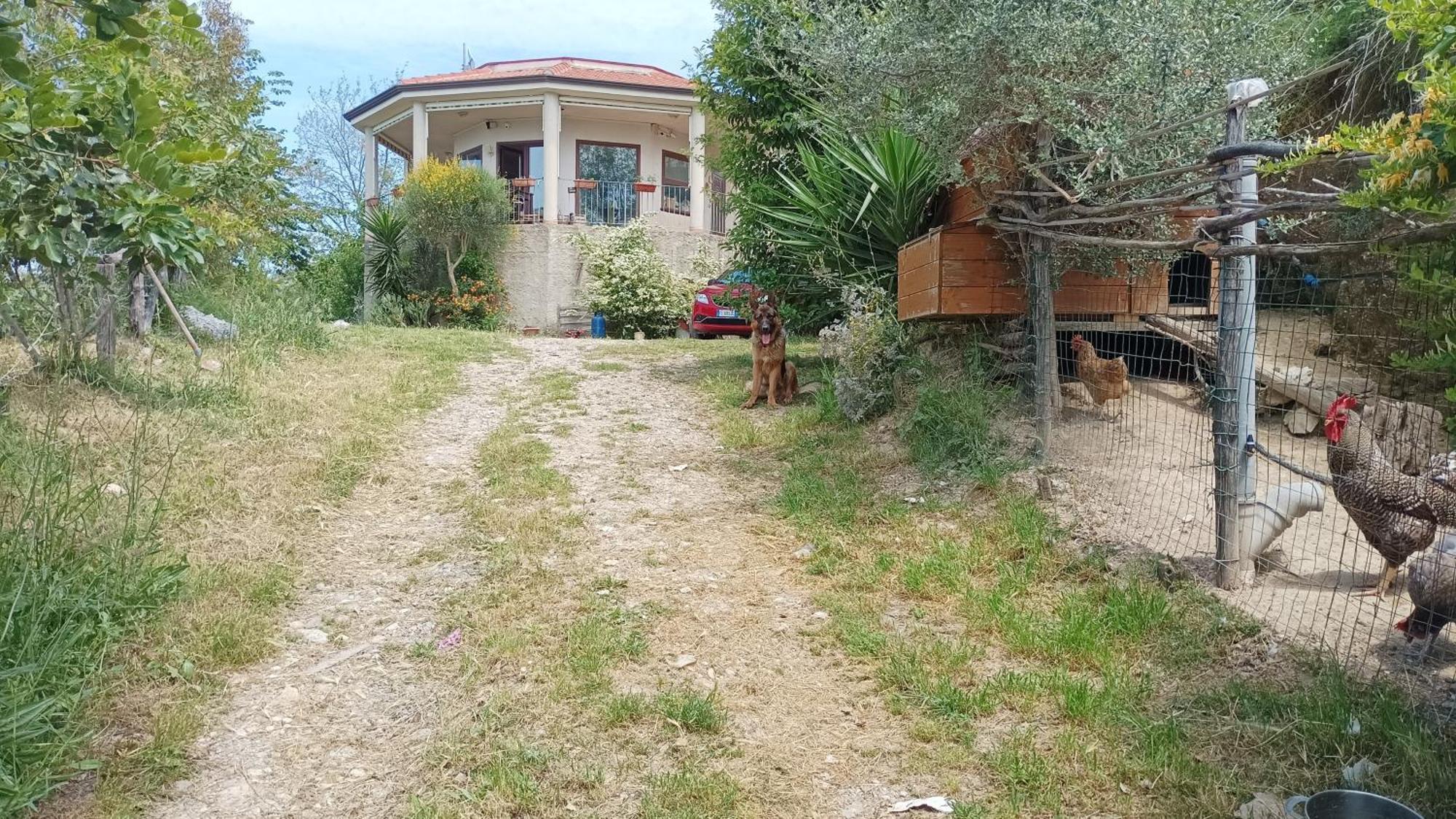 Hotel Palapico Bonifati Exterior foto